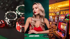 Live dealer kasino piv805 memandu sesi baccarat secara langsung
