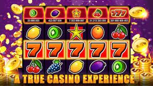 piv805 tampilan bingo online dan fitur permainan interaktif
